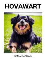 Hovawart