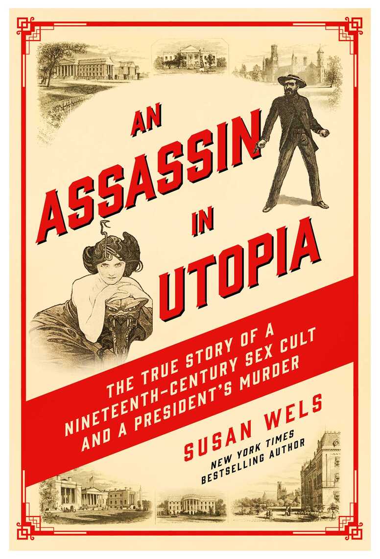 An Assassin in Utopia by Susan Wels pic