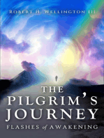 The Pilgrim's Journey: Flashes of Awakening