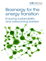 Bioenergy for the Energy Transition
