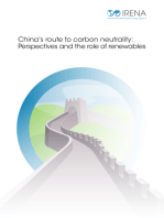 China’s Route to Carbon Neutrality: Perspectives and the Role of Renewables