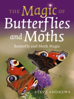 The Magic of Butterflies and Moths: Butterfly and Moth Magic