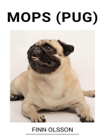 Mops (Pug)