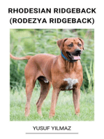 Rhodesian Ridgeback (Rodezya Ridgeback)