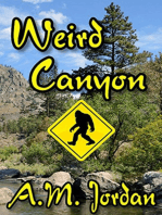 Weird Canyon