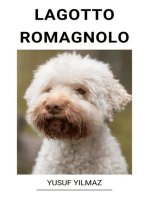 Lagotto Romagnolo