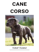 Cane Corso