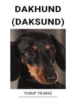Dakhund (Daksund)