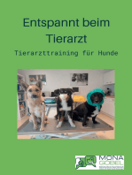 Entspannt beim Tierarzt: Tierarzttraining für Hunde