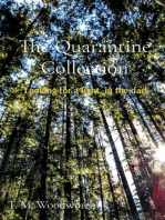 The Quarantine Collection: Looking for a light, in the dark