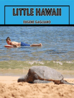 Little Hawaii