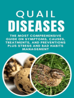 Quail Diseases: The Most Comprehensive Guide on Symptoms, Causes, Treatments, and Preventions Plus Stress and Bad Habits Management