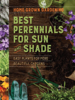 Best Perennials For Sun And Shade