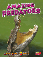 Amazing Predators