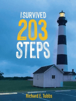 I Survived 203 Steps