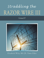 Straddling the Razor Wire Iii