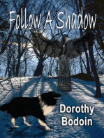 Follow a Shadow: A Foxglove Corners Mystery, #14