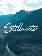 Stillwater: A New Beginning
