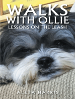 Walks with Ollie: Lessons on the Leash
