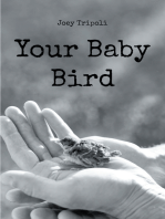 Your Baby Bird