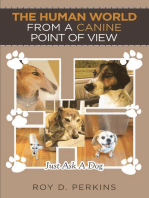 The Human World from a Canine Point of View