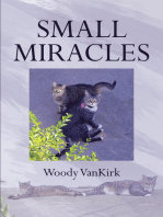 Small Miracles