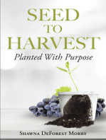 Seed to Harvest: Planted with Purpose