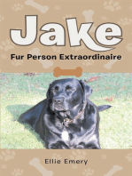 Jake: Fur Person Extraordinaire