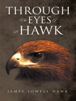 Through The Eyes Of A Hawk
