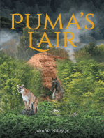 Puma's Lair