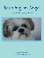 Rescuing an Angel: "Heel, Mr. Sims, Heal"