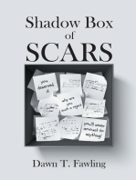 Shadow Box of Scars