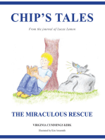 Chip's Tales: The Miraculous Rescue