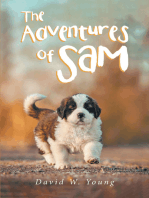 The Adventures of Sam