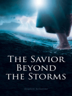 The Savior Beyond the Storms