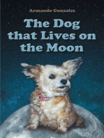 The Dog that Lives on the Moon