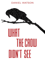 What the Crow Didn't See