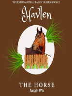 Havlen The Horse