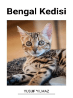 Bengal Kedisi