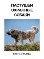 Пастушьи охранные собаки