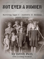 NOT EVEN A NUMBER: Surviving Lager C ~ Auschwitz II - Birkenau