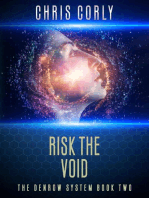 Risk the Void