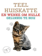 Teel Huiskatte en Wenke om Hulle Gelukkig te hou