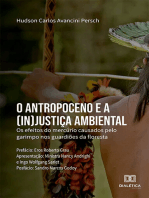 O Antropoceno e a (in)justiça ambiental