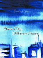 Same City, Different Storm