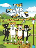 The Cosmo Cats: Arizona Adventure
