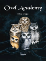 Owl Academy