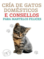 Cría de Gatos Domésticos e Consellos Para Mantelos Felices