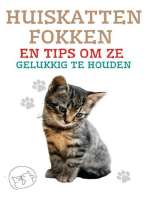 Huiskatten Fokken en Tips om ze Gelukkig te Houden