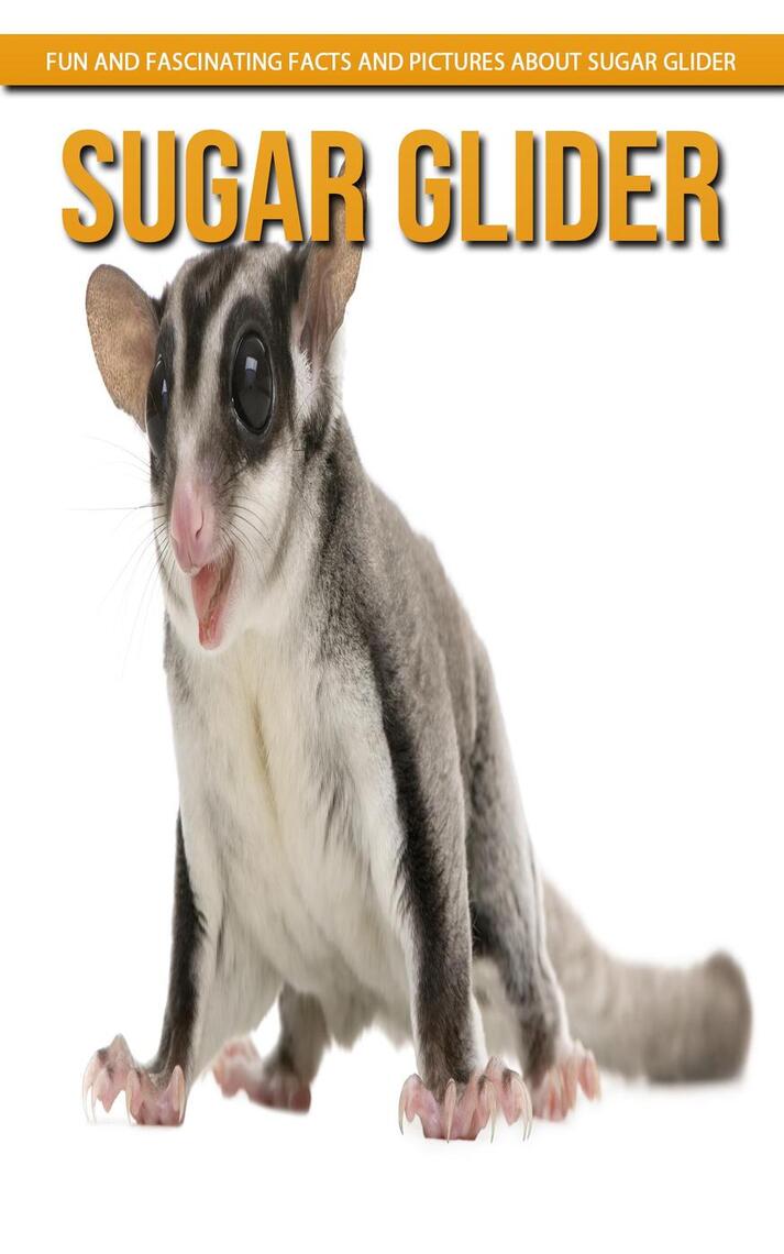 Sugar Glider Fun and Fascinating Facts and Pictures About Sugar Glider by Christine Wetmore